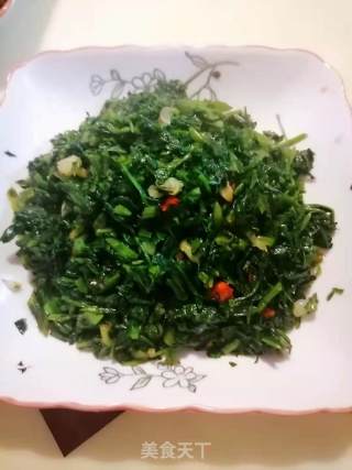 蒜香蒲公英步骤6