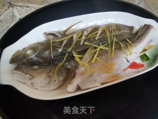 清蒸白花鱼步骤8