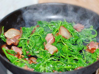 灰灰菜炒腊肉步骤4
