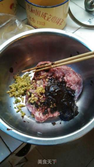 北京牛肉葱香馅饼步骤4 北京牛肉葱香馅饼步骤4