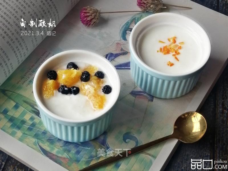 暖脚宝自制酸奶