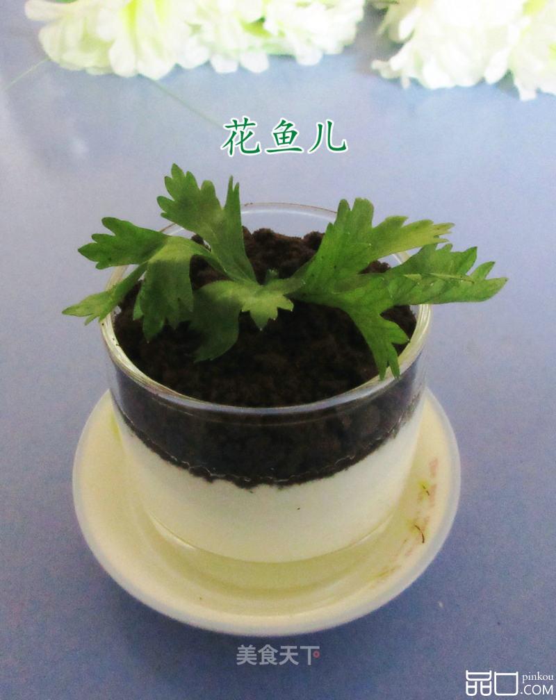 酸奶奥利奥小盆栽