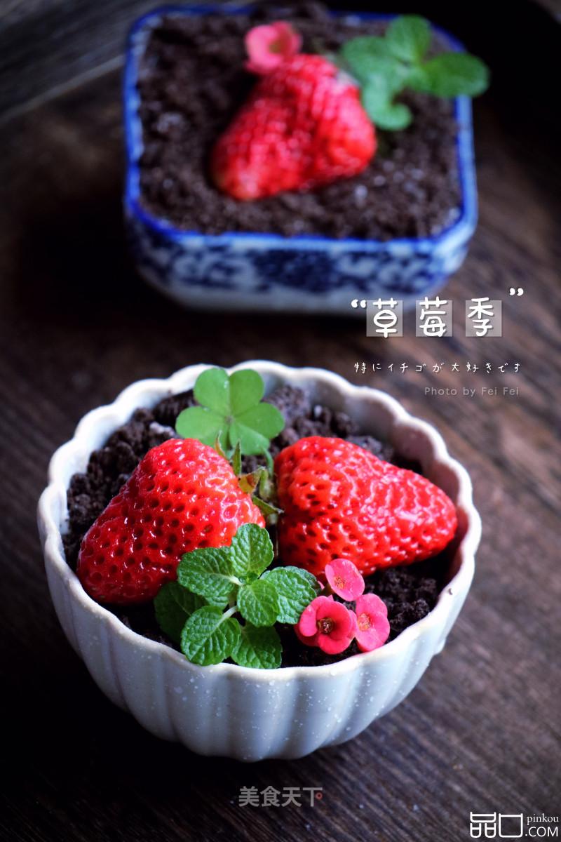 草莓盆栽