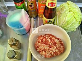 白菜猪肉糜锅贴步骤4
