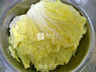 白菜猪肉糜锅贴步骤5