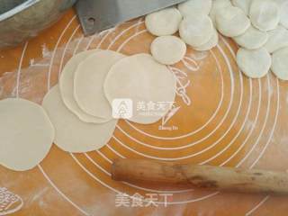 白菜猪肉糜锅贴步骤14