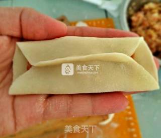 白菜猪肉糜锅贴步骤16