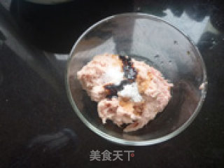 吃肉不见肉【鲜肉麻饼】步骤5 吃肉不见肉【鲜肉麻饼】步骤5