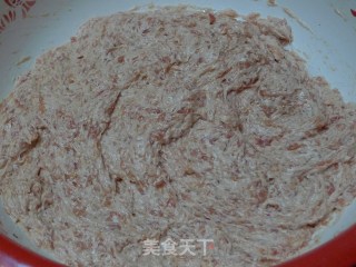 灌汤小笼包--24图详解正宗小笼包做法步骤16 灌汤小笼包--24图详解正宗小笼包做法步骤16