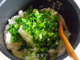 【无孔不入的青菜】上海菜饭步骤5