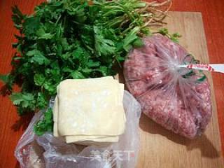 鲜香味美-------【芫荽鲜肉馄饨】步骤1 鲜香味美-------【芫荽鲜肉馄饨】步骤1