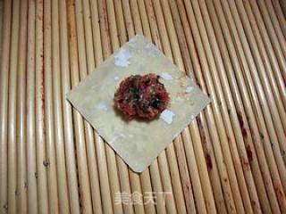 鲜香味美-------【芫荽鲜肉馄饨】步骤6 鲜香味美-------【芫荽鲜肉馄饨】步骤6