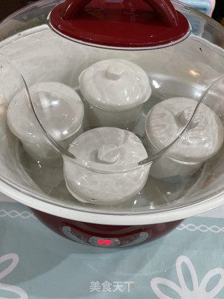 牛奶炖燕窝步骤7