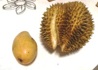 榴芒千层步骤1