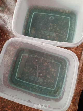 海洋奶冻步骤8
