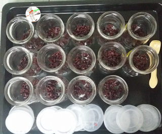自制蔓越莓酸奶步骤6