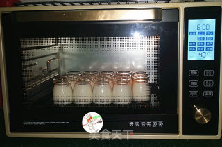 自制蔓越莓酸奶步骤8