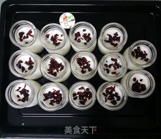 自制蔓越莓酸奶步骤11