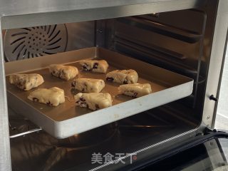 简单好吃的蔓越莓司康，英式下午茶必备！步骤10