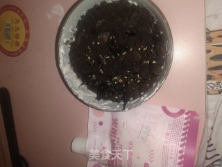 生日奥利奥盆栽步骤8