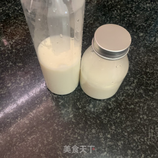桃胶撞奶步骤6