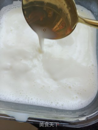 自制脱脂酸奶步骤5