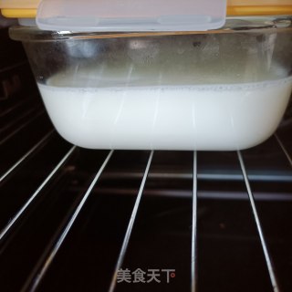 自制脱脂酸奶步骤8