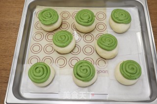 墨西哥抹茶红豆包步骤17