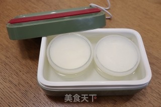 自制原味无糖酸奶步骤6