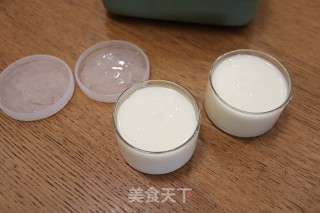 自制原味无糖酸奶步骤8