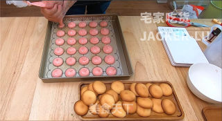 布雪奶油夹心蛋糕，简单又美味，给孩子当做零食更健康美味。步骤15