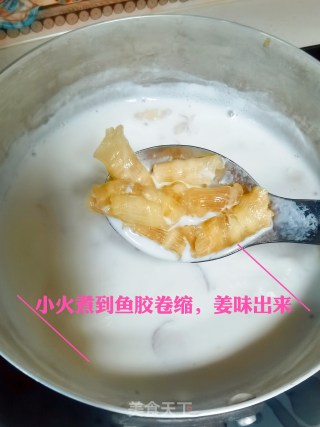 鱼胶姜奶步骤3
