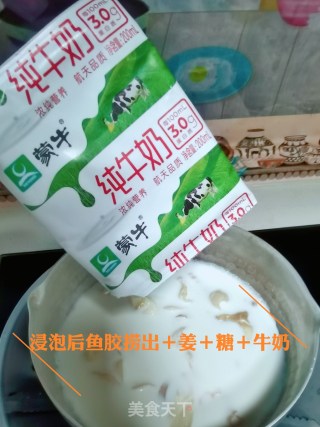 鱼胶姜奶步骤2