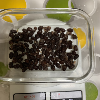 牛奶蜜豆糕步骤1
