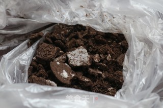 草莓盆栽步骤2