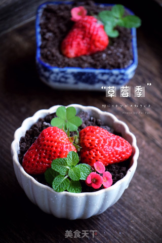 草莓盆栽步骤5