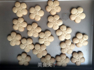 奶香花朵小饼干步骤12 奶香花朵小饼干步骤12